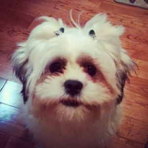 Meet your Posher, Shaun francis